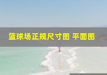 篮球场正规尺寸图 平面图